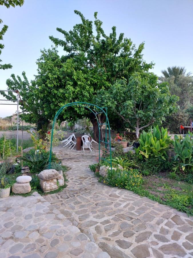 La Medusa Gardens Iskele District  Exterior photo